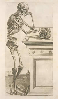 Skeletonwhy