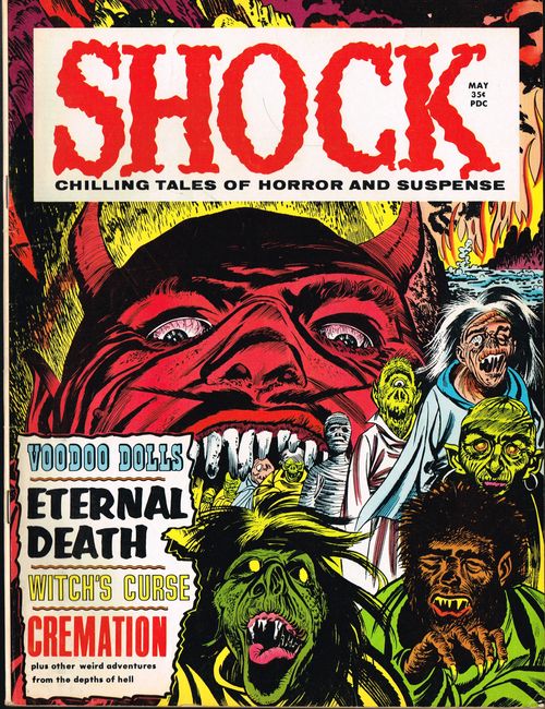 Shock-cover