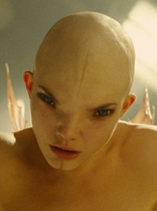Dren