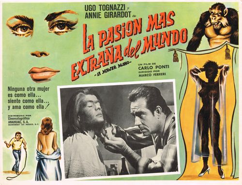 La Pasion Mas Extrana Del Mundo mexican lobby card