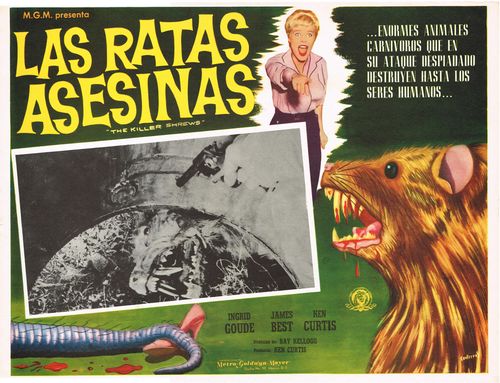 Las Ratas Asesinas Mexican Lobby Card