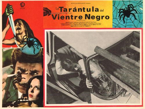 Tarantula Del Vientre Negro Mexican Lobby Card