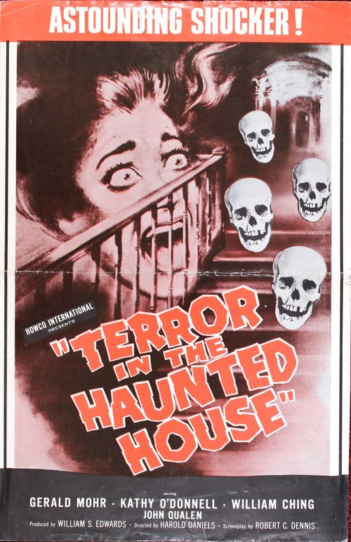 Terror-in-the-haunted-house-1