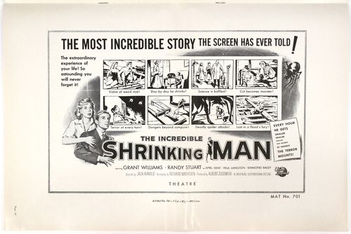 Shrinking-man-13
