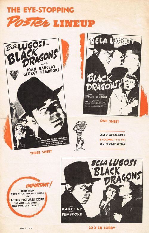 Pressbook black dragons_0001