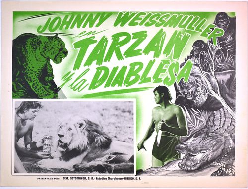Tarzan mexican lobby
