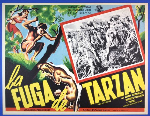 tarzan escapes mexican lobby card