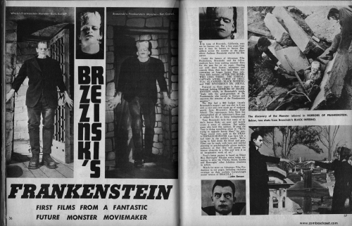 Castle of Frankenstein Issue 6