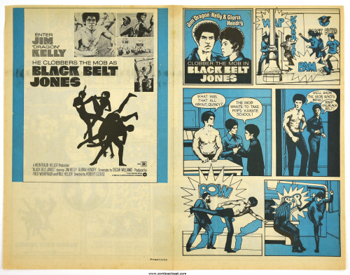 black belt jones movie herald