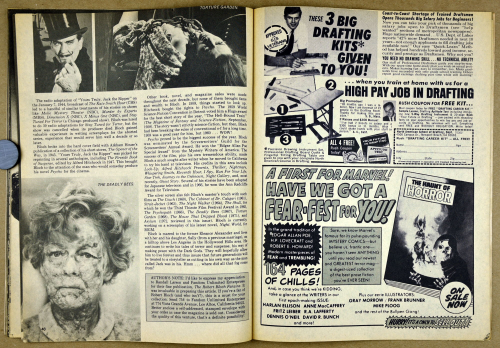 Monster Madness 3 19