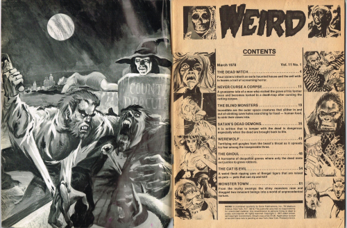 Weird Issue V11-1_000001