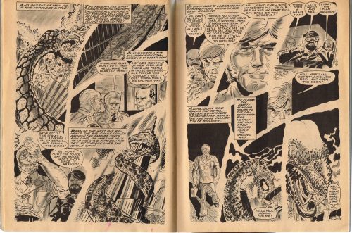 Weird Issue V11-1_000017