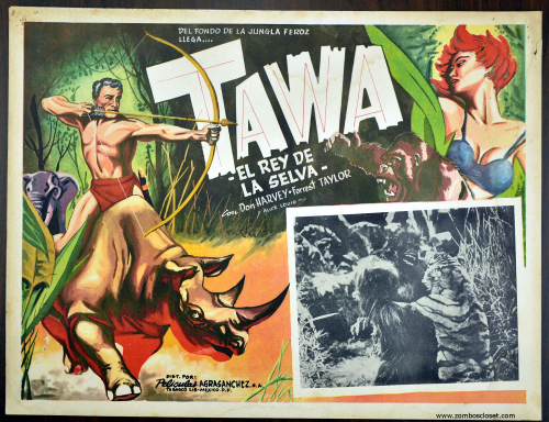 Tawa Tawa