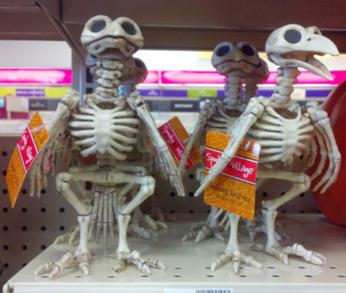 Raven-skeleton Raven-skeleton