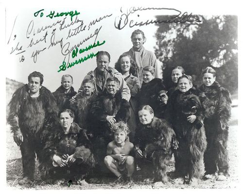 clarence swenson gorilla group