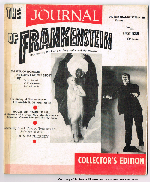 Journal of frankenstein 1