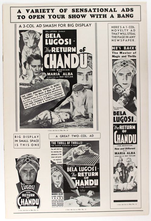 Chandu-advertising-3