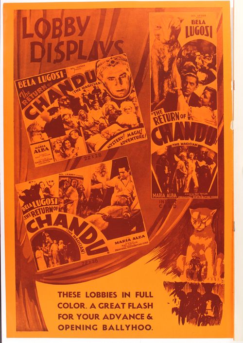 Chandu-advertising-12 Chandu-advertising-12