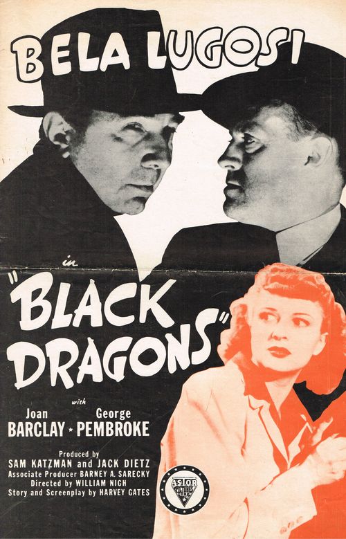 Pressbook black dragons
