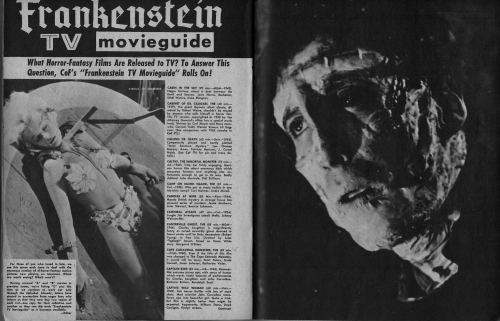 Castle of Frankenstein Issue 8