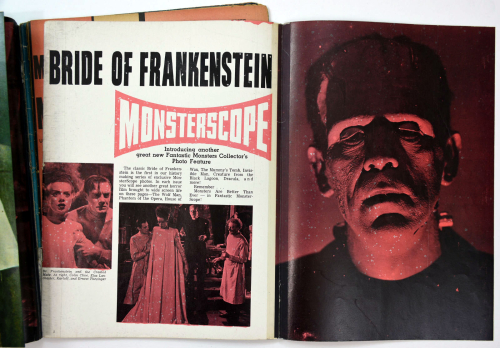 Fantastic Monsters of the Films v1-6001