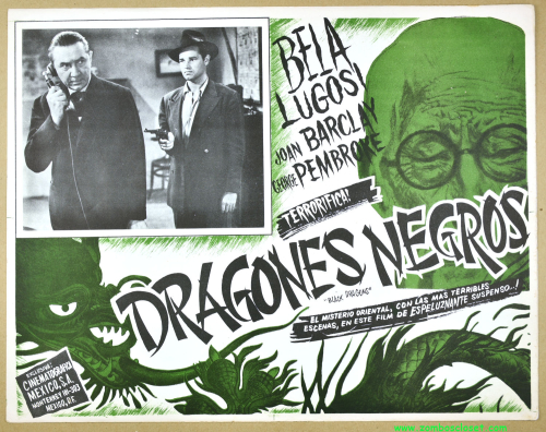 Black dragons