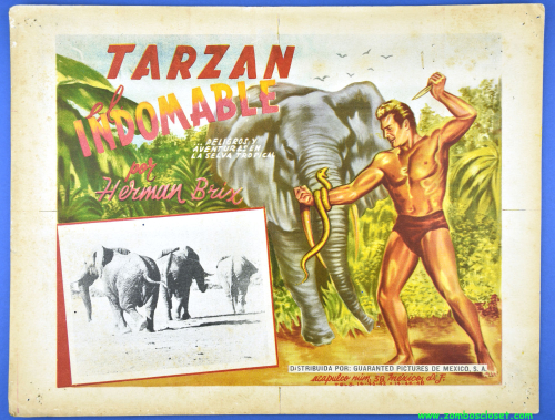 Tarzan 06