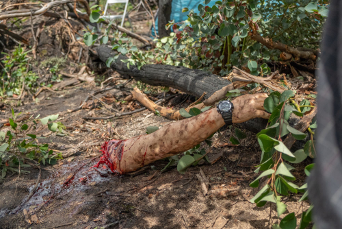 LakePlacidLegacy_Approved_Still_1