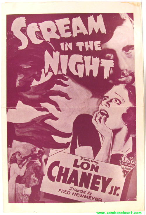 Scream in the night 1