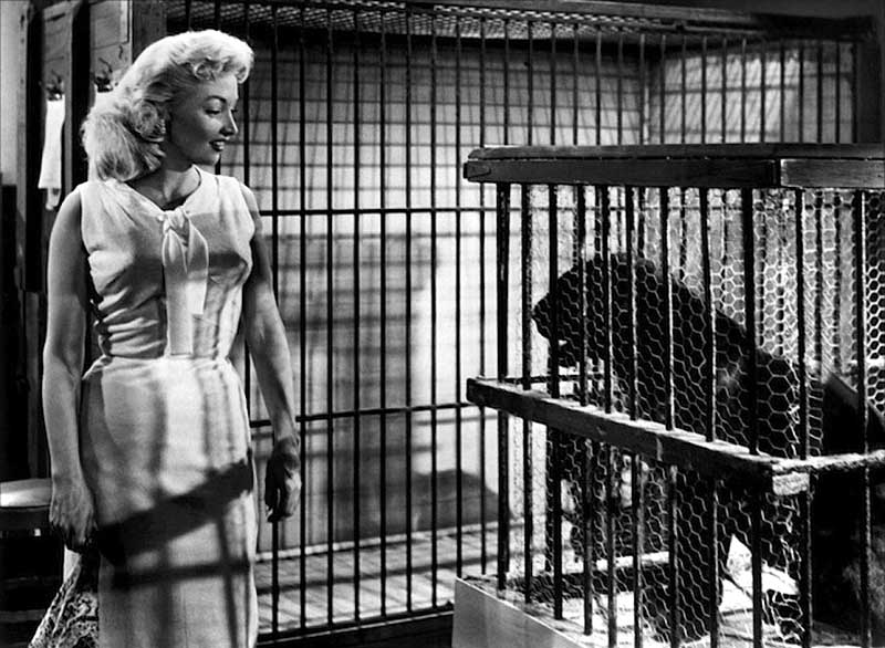 She Devil Mari Blanchard with leopard She Devil Mari Blanchard with leopard