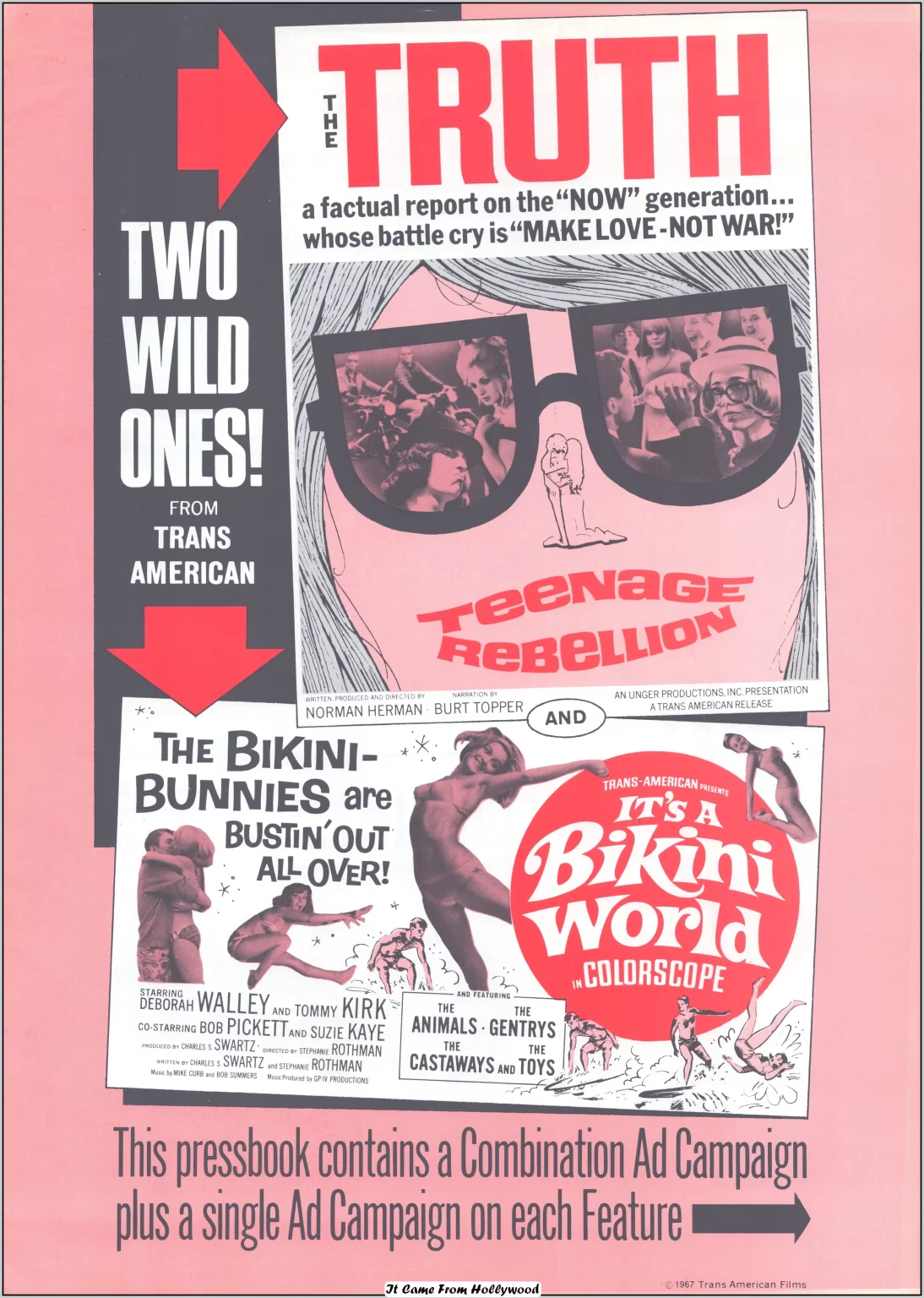 Teenage Rebellion and Its a Bikini World pressbook Teenage Rebellion and Its a Bikini World pressbook