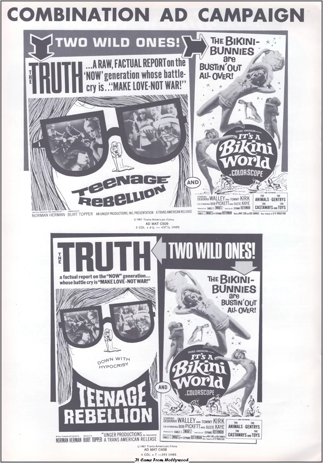 Teenage Rebellion and Its a Bikini World pressbook Teenage Rebellion and Its a Bikini World pressbook