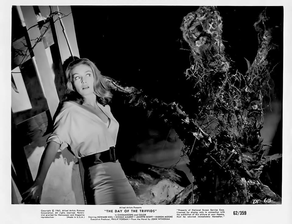 The Day of the Triffids movie still The Day of the Triffids movie still