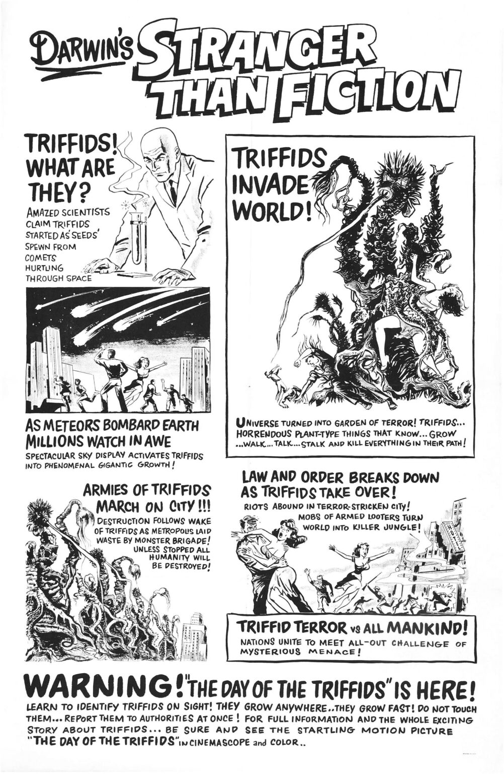 The Day of the Triffids Handout