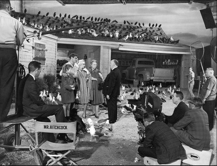 Hitchcock on set with cast during filming of the birds Hitchcock on set with cast during filming of the birds