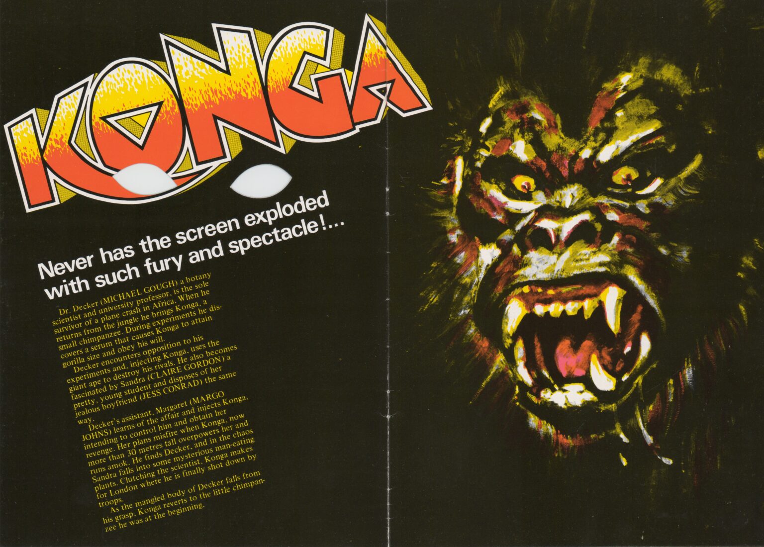 Konga colorful sales brochure