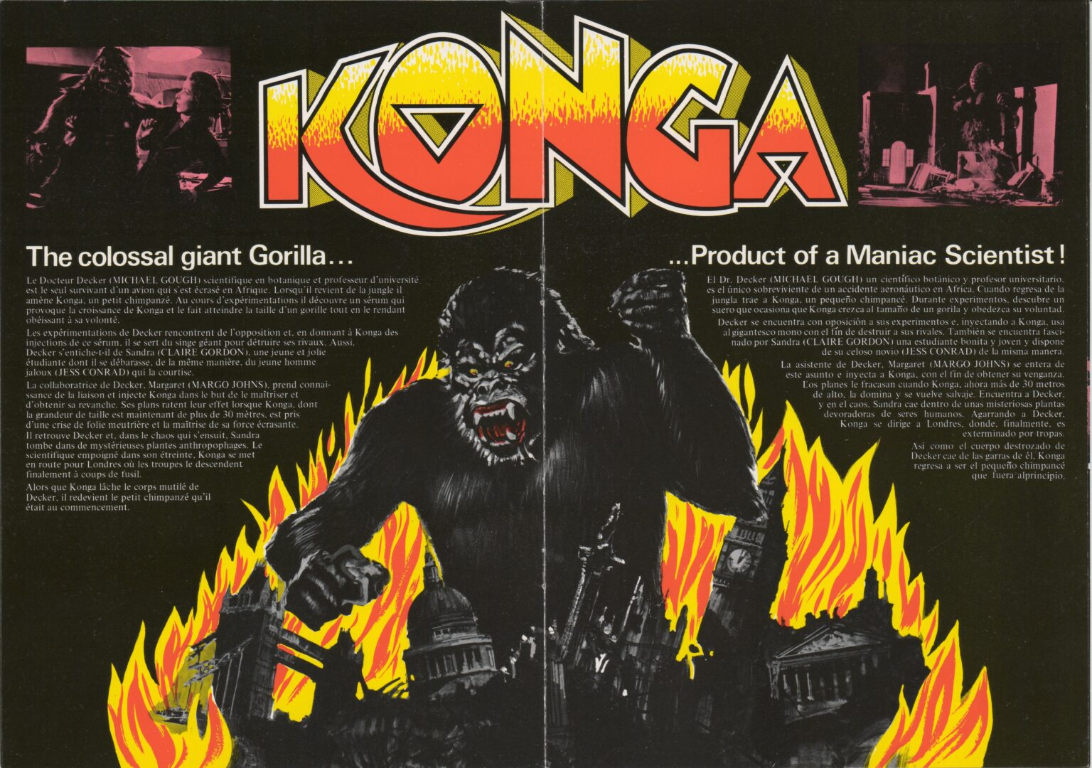 Konga colorful sales brochure