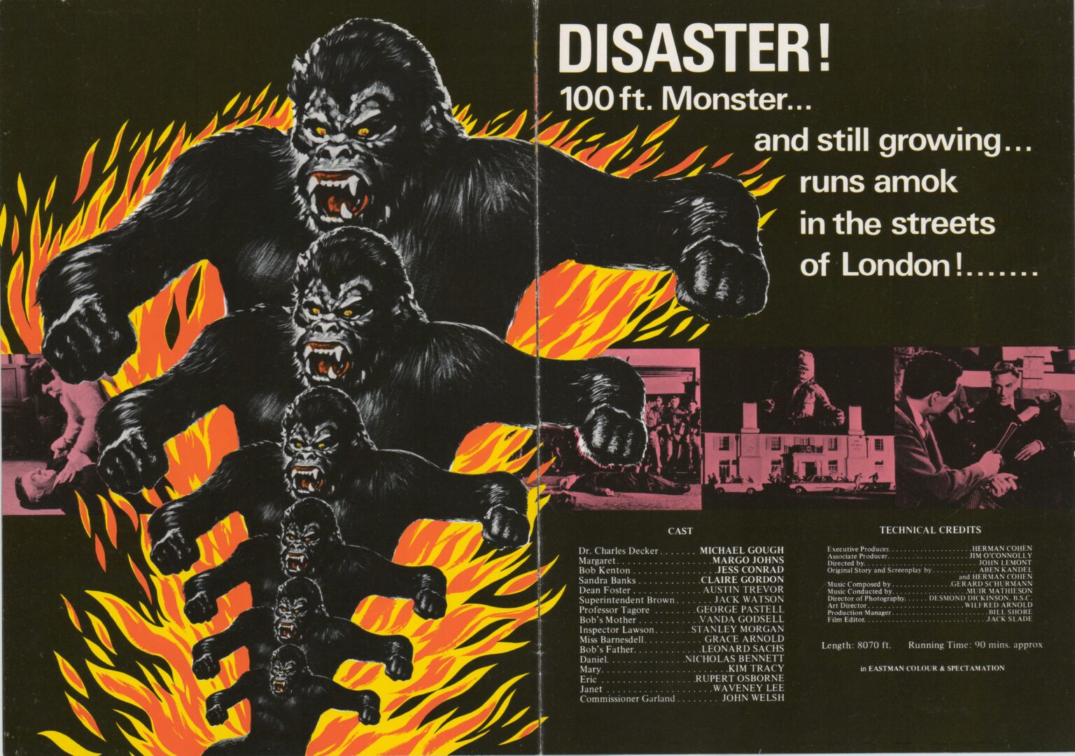 Konga colorful sales brochure