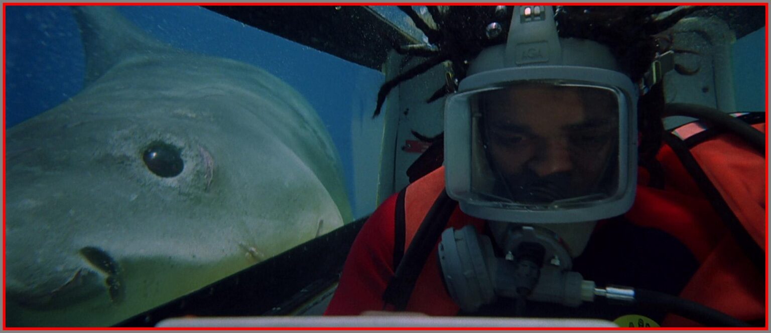 Jaws movie reviewer radio spots